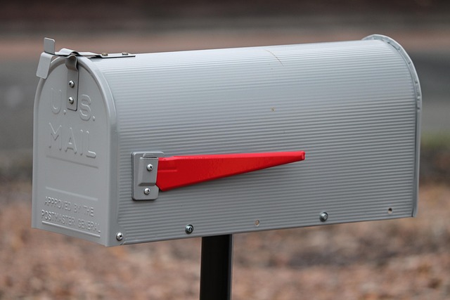 Director Service Address Mail Handling Guide