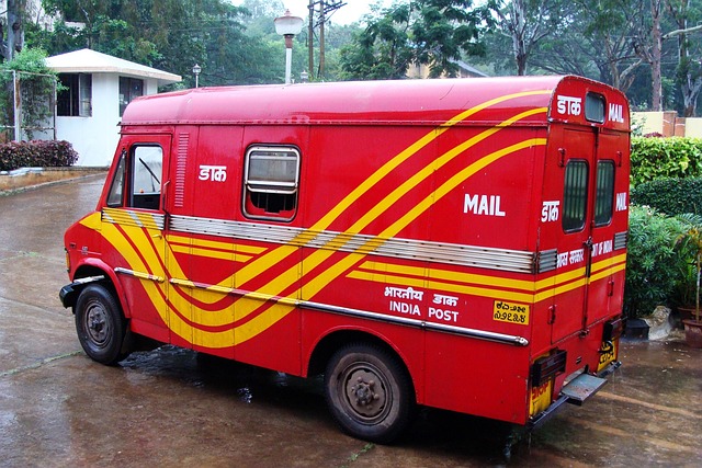 Director Service Address Mail Scanning
