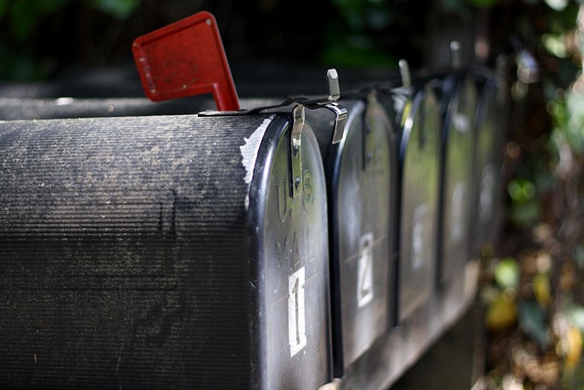 Director Service Address Mail Scanning