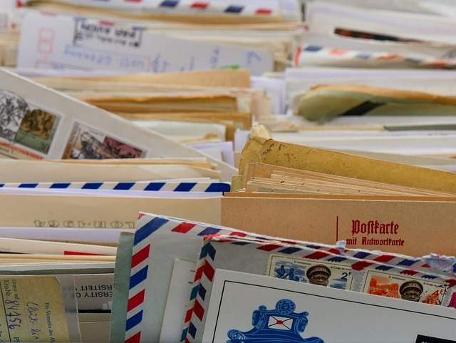 Director Service Address Vs Registered Office