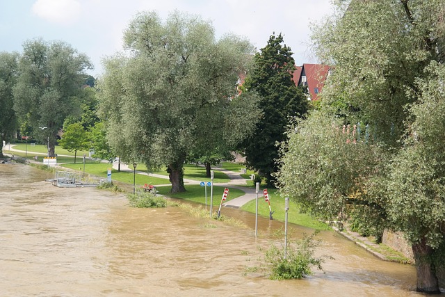 House Clearance After Flood Damage
