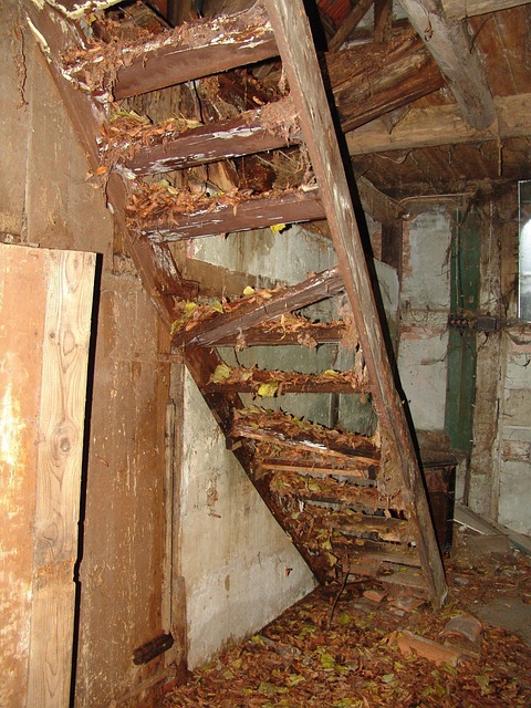 House Clearance Before Renovation