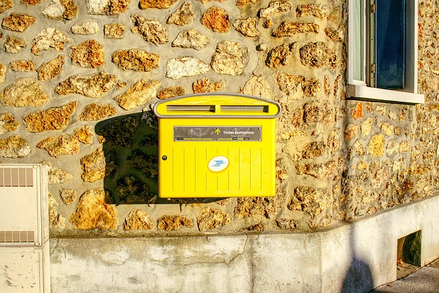Mail Forwarding Process For Directors