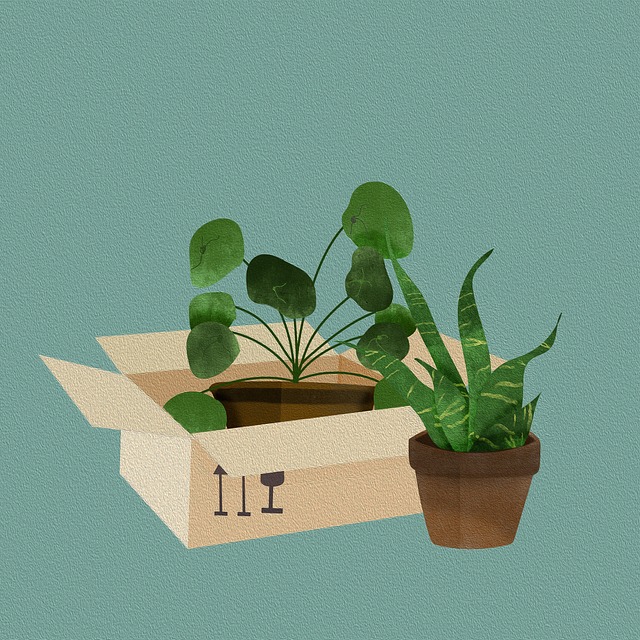 moving boxes