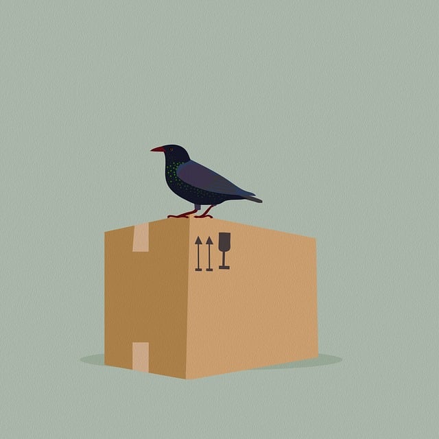 moving boxes