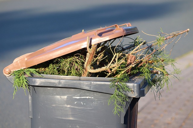 Affordable House Cleanup: Efficient Waste Disposal Solutions