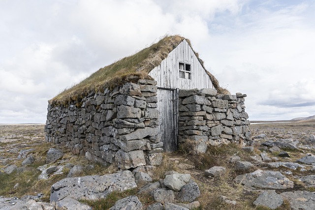 Eco-Friendly Repossession: Sustainable Clearance Service Strategies