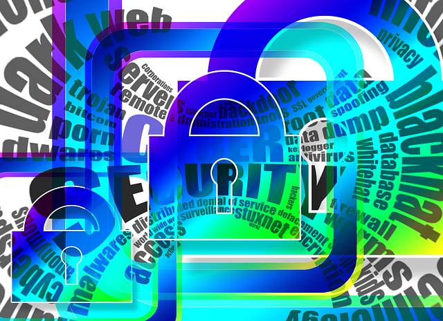 Protect Your Privacy As A Director: Stay Secure