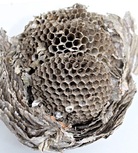 Transform Your Space: Create a Peaceful Haven After Complete House Clearance
