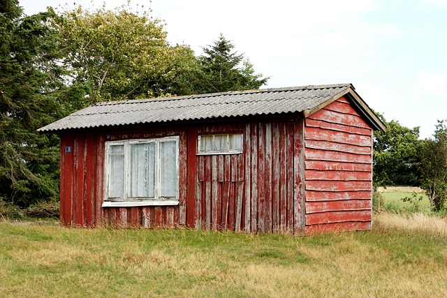 Efficient Property Clearance: Strategies for Eco-Friendly Removal