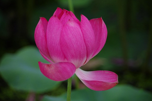 Unveiling True Costs of Appliance Haul-Away Services