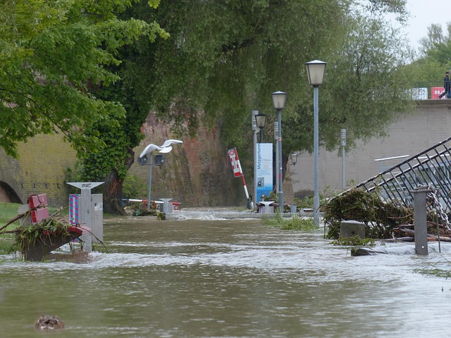 Hiring Experts for Efficient Post-Flood House Clearance