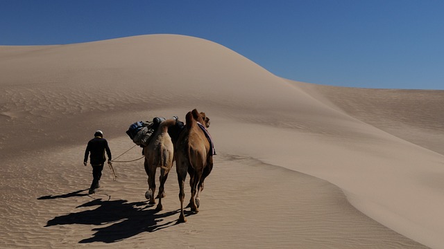Mastering Service Addresses For Digital Nomads’ Success