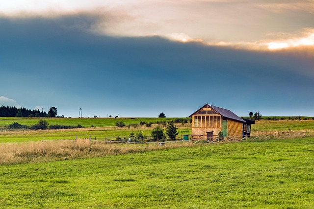 Calm Evenings: Declutter Anxiety Solutions & House Clearance Benefits