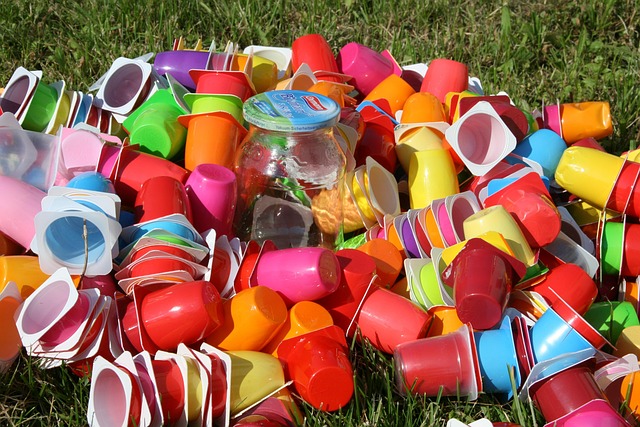 Zero-Waste Living: House Clearance for Sustainable Disposal