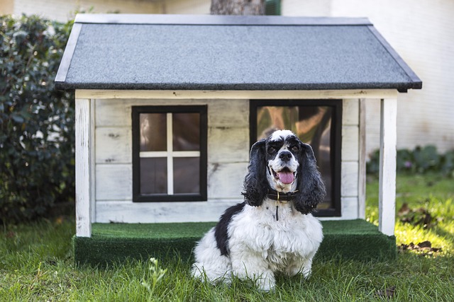 Protect Your Investment: House Clearance for Landlords Essential Checks