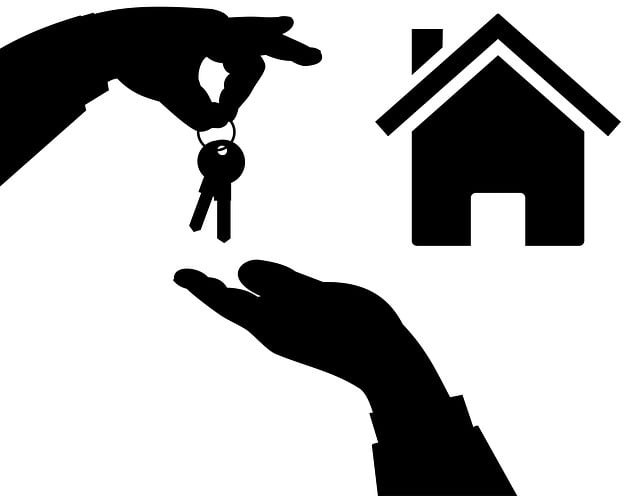 Real Estate Investing: Beginner’s Guide to Property Clearance & Growth