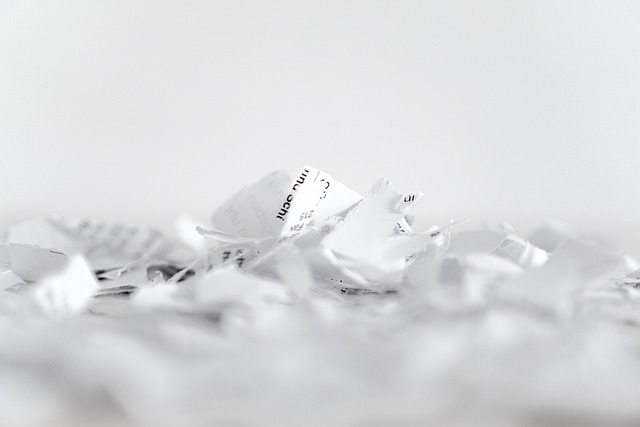 Protect Your Privacy As A Director: A Comprehensive Guide