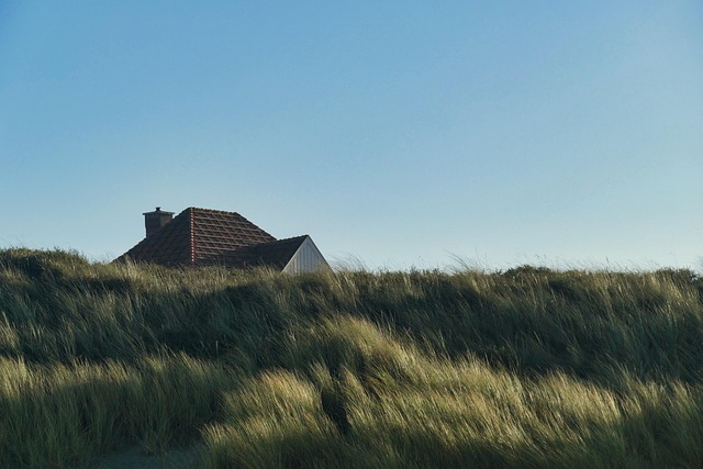 Ethical House Clearance: Best Practices for Trustworthy Disposal