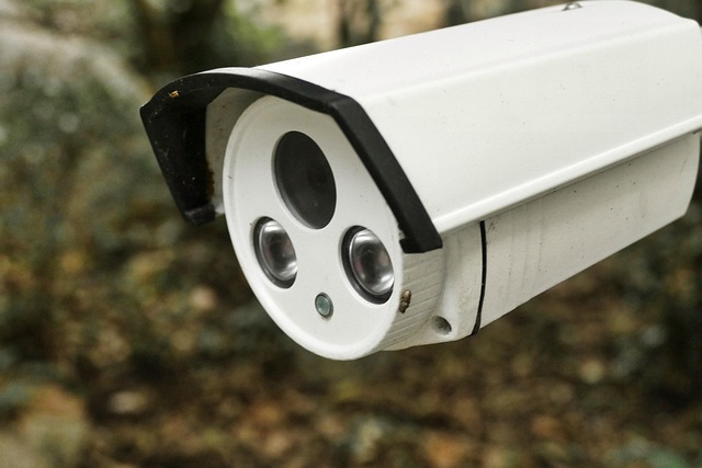 Protect Your Privacy As A Director