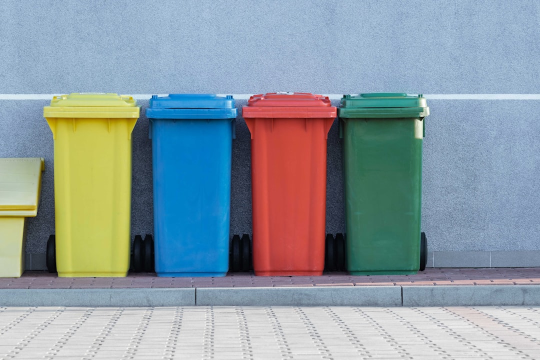 Eco-Friendly House Clearance: Green Renovate with Old Materials