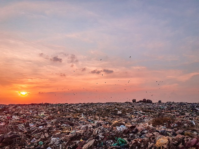 rubbish removal