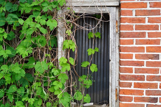 Vacant House Clearance Experts