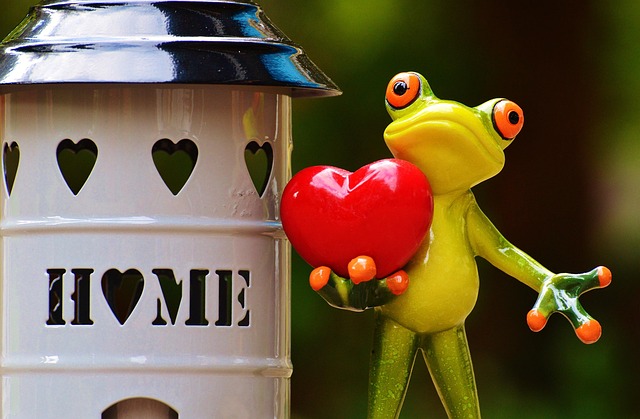 Avoid Unwanted Visitors At Home