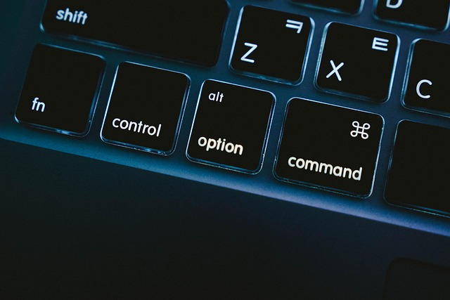 Cheap Director Service Address Options