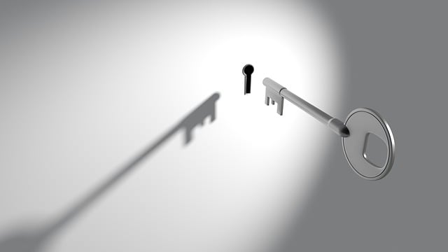 Director Address Privacy Solutions