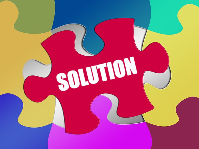 Director Address Privacy Solutions