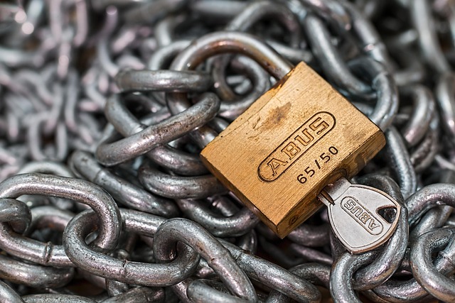 Director Address Privacy Solutions