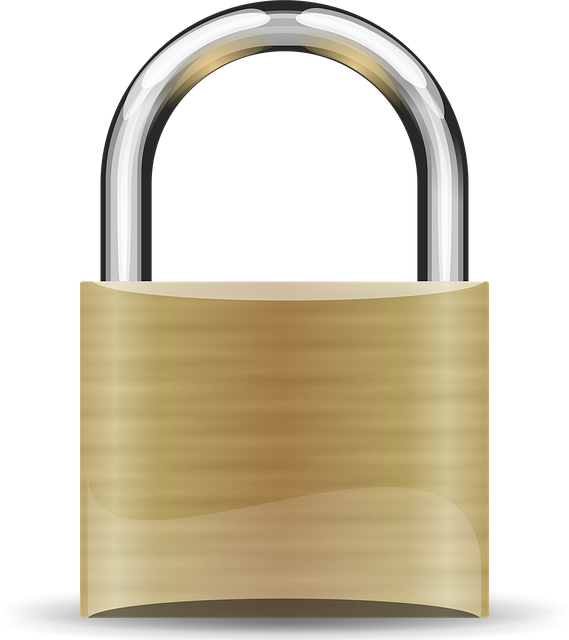 Director Address Privacy Solutions