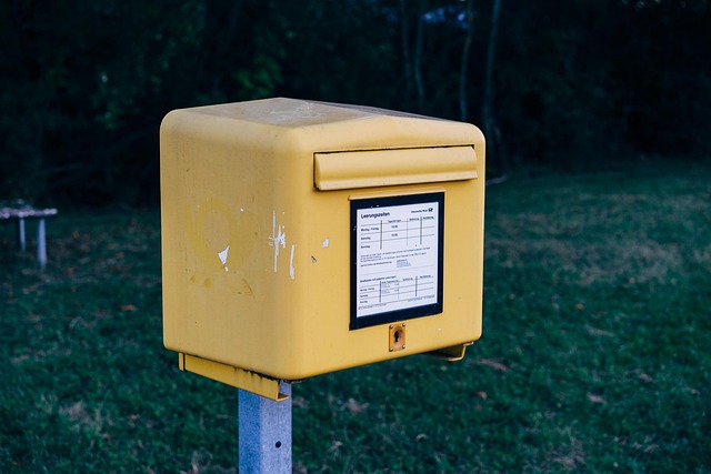 Director Service Address Mail Forwarding Guide