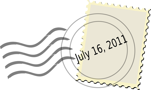 Director Service Address Mail Forwarding Guide