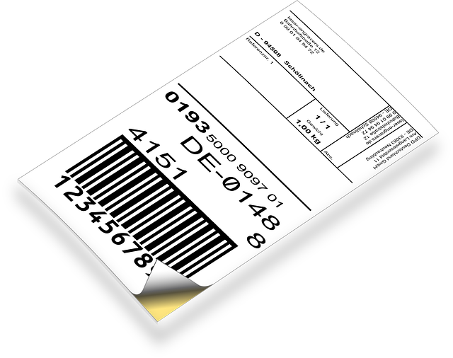 Director Service Address Mail Forwarding Guide