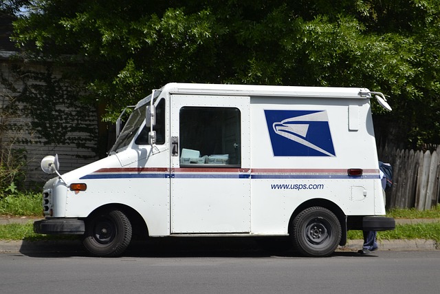Director Service Address Mail Forwarding Guide