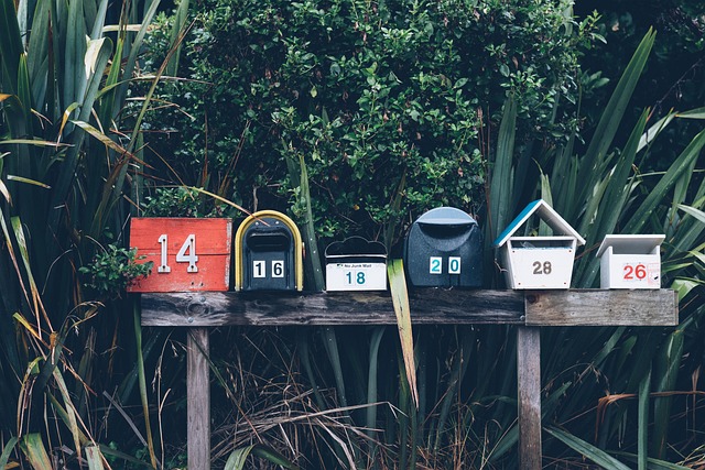Director Service Address Mail Forwarding Guide