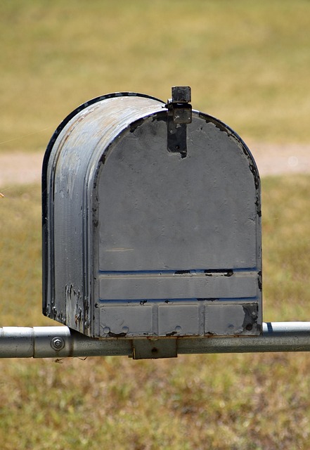 Director Service Address Mail Handling Guide