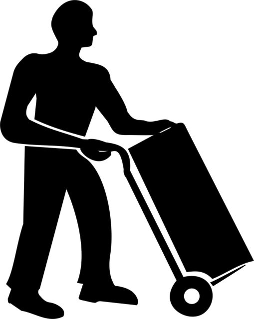 Director Service Address Mail Handling Guide