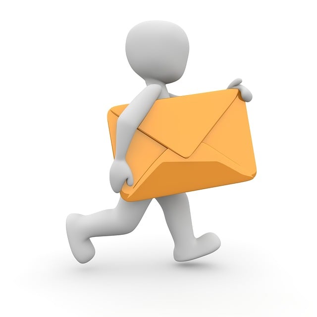 Director Service Address Mail Scanning