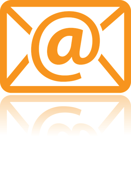 Director Service Address Mail Scanning