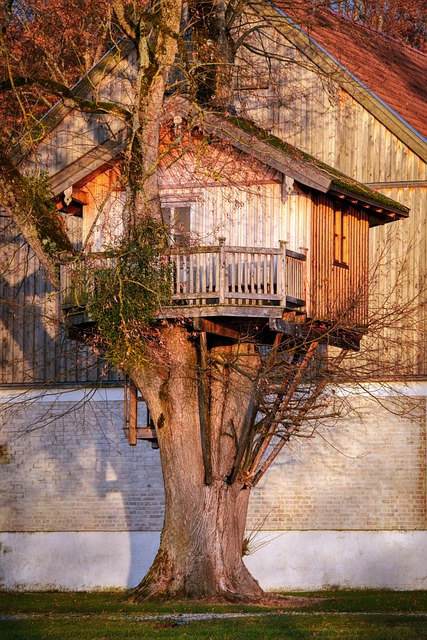 Evening House Clearance Service