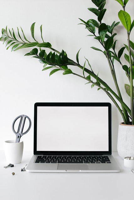 Instant Setup For Service Address