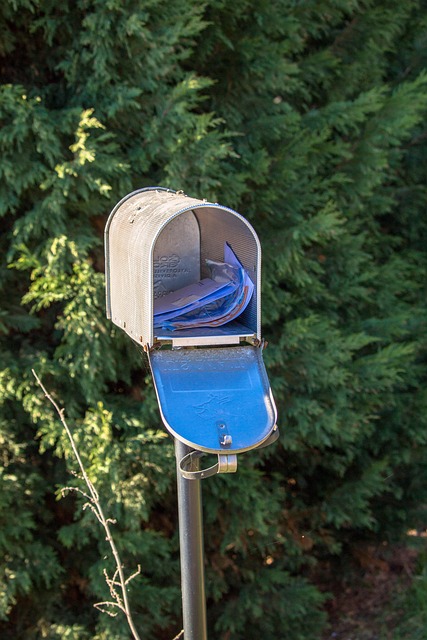 Mail Forwarding Process For Directors