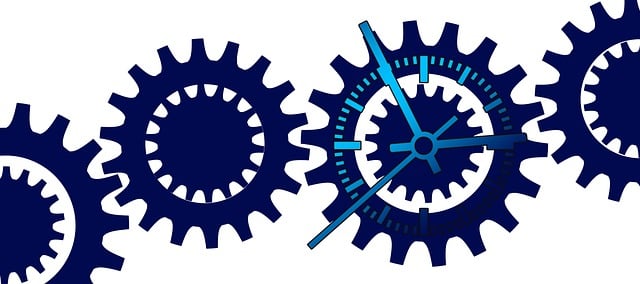 Mail Forwarding Process For Directors