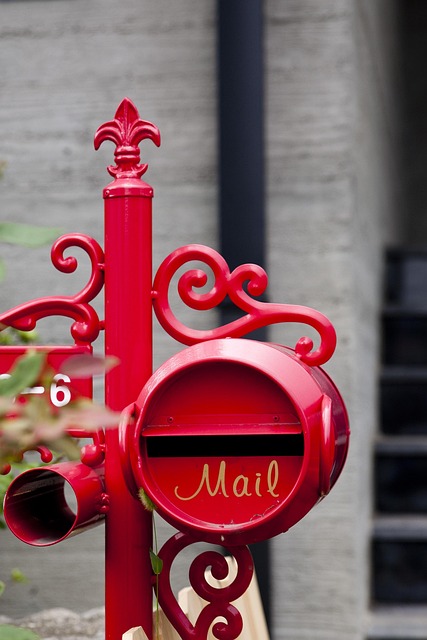 Mail Forwarding Process For Directors