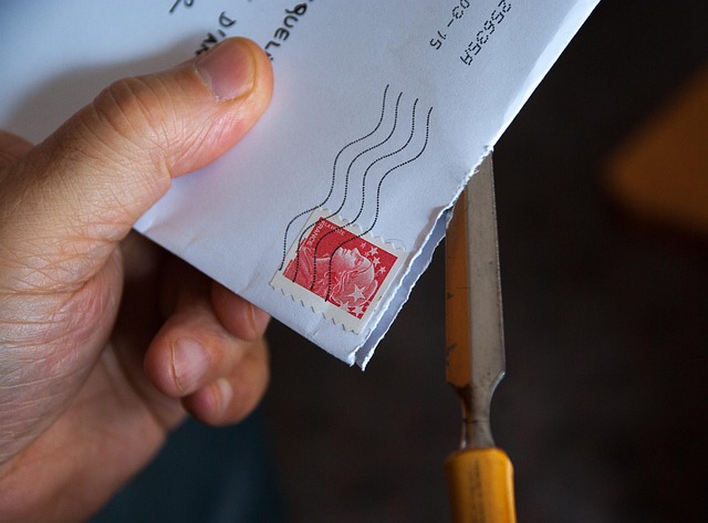 Mail Forwarding Process For Directors