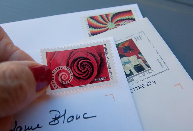 Mail Forwarding Process For Directors