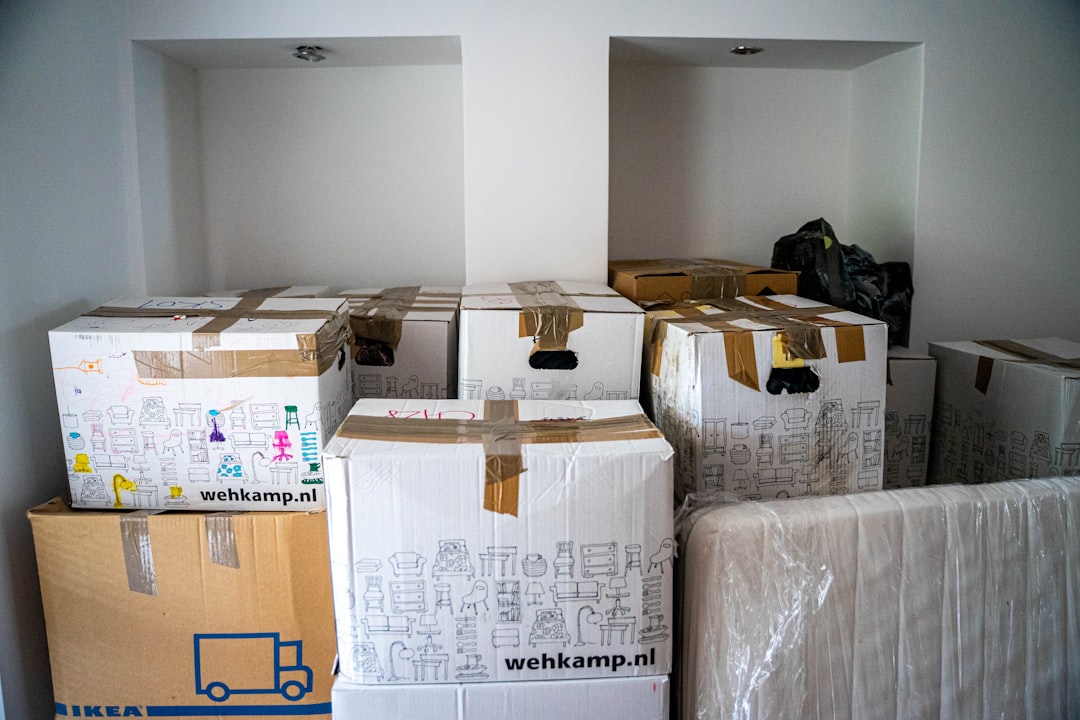 Master Bungalow Declutter: Efficient Service, Fresh Start